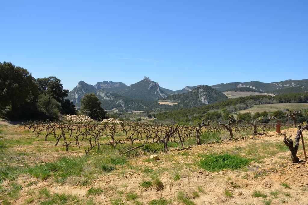 La Roque-Alric Mas De Carabelle Bed & Breakfast エクステリア 写真