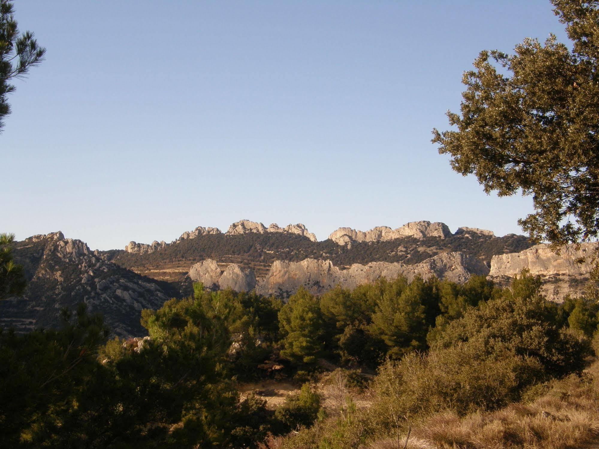 La Roque-Alric Mas De Carabelle Bed & Breakfast エクステリア 写真