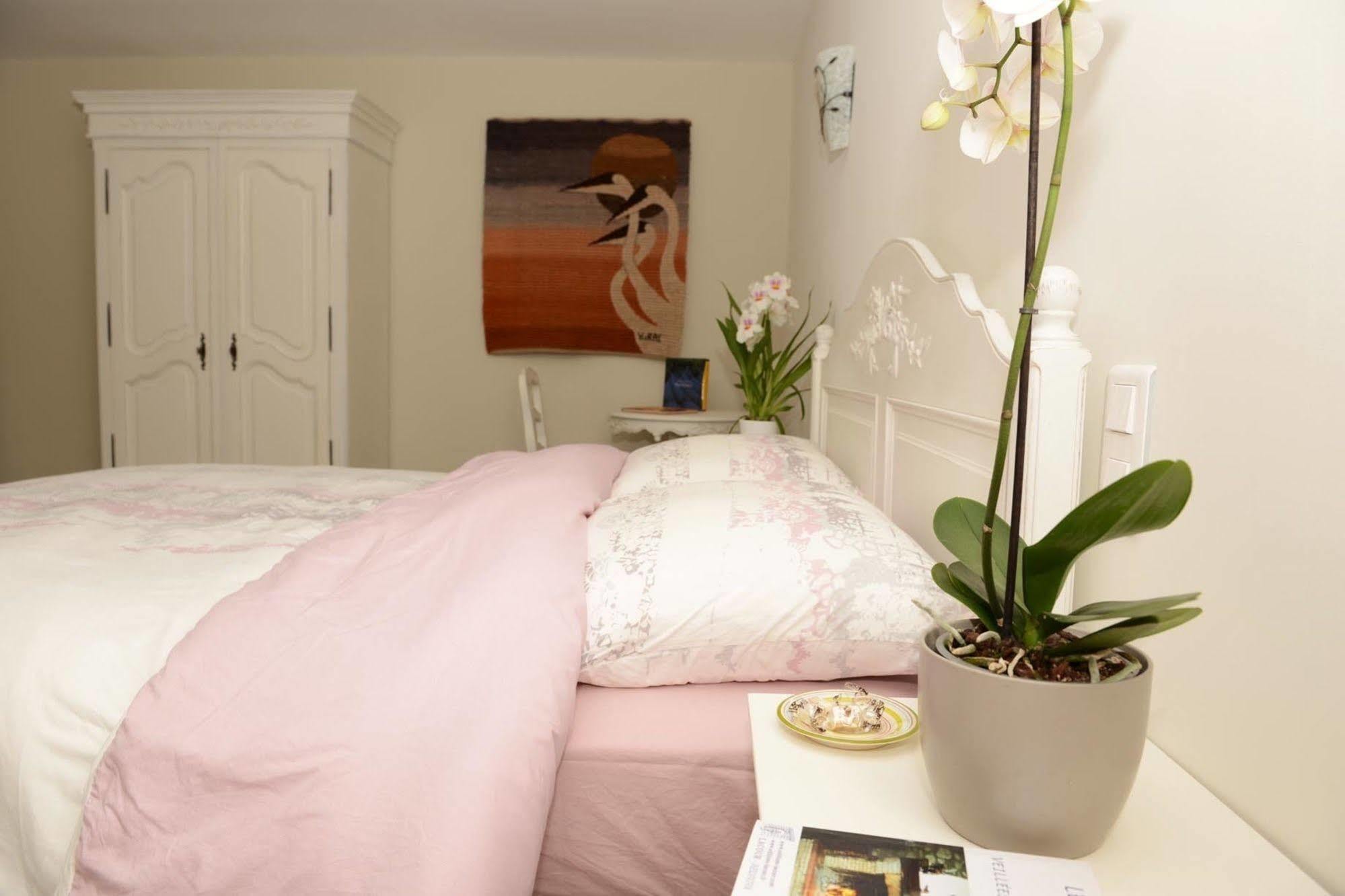 La Roque-Alric Mas De Carabelle Bed & Breakfast エクステリア 写真